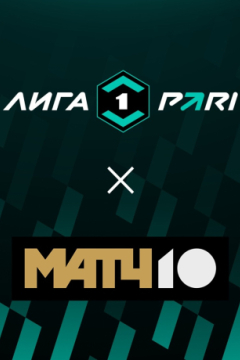 Сериал Чайка &mdash; Ротор